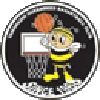 https://img.dgstgj.com/img/basketball/team/e416830f4083698237c559f8988ddb25.png