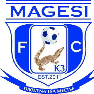 https://img.dgstgj.com/img/football/team/dc1df1e4722068b08e2fcddeeab4e7af.png